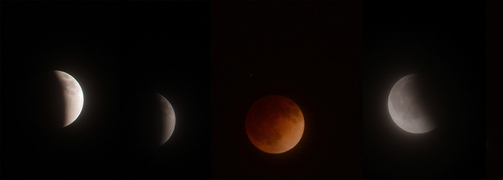 Phases of the Lunar Eclipse, April 2014